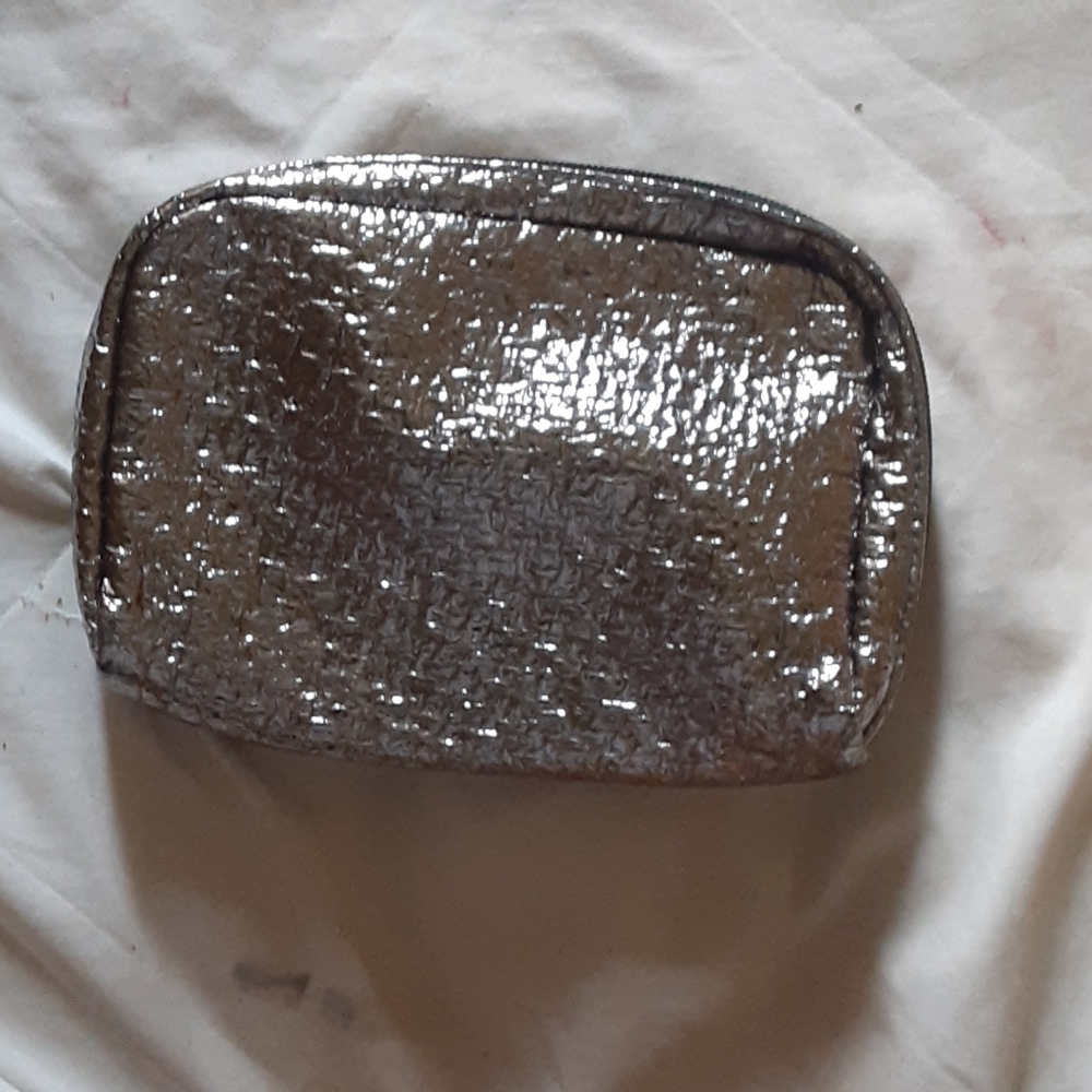 Silver Colored Makeup Bag